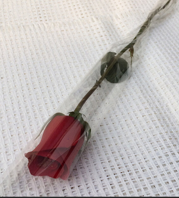 Biologisch abbaubare transparente Blumen-einzelne Rosen-Ärmel für Blumen-Geschäft/Einzelhandelsgeschäft