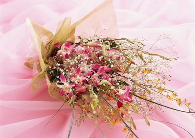 Schönes Organza-Blumen-Verpackungs-Gewebe/Organza-Blatt für Blumen-Verpackungs-Dekoration