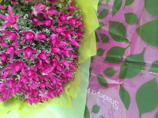 Nichtgewebte Druckblume Sleeves Rolls en gros für die frische Blumen-/Hochzeits-Geschenk-Verpackung