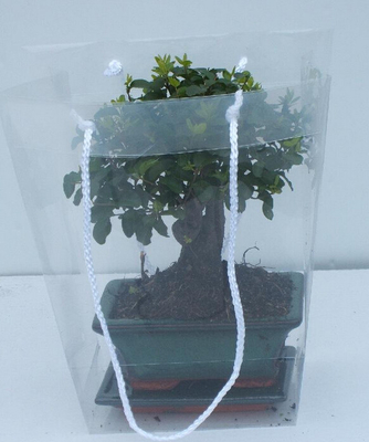 Transparente Rosen-Blumen-Plastiktragetasche-und Geschenk-Taschen für frische Blumen